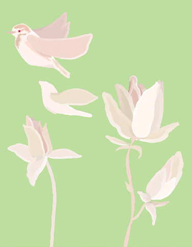spring 375_482